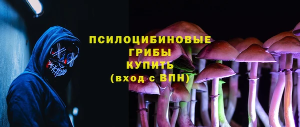 mdpv Белокуриха