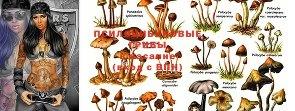таблы Беломорск