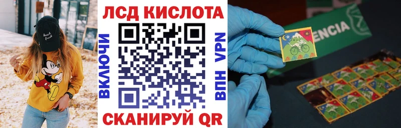 Купить где  Сураж  Марки 25I-NBOMe 1,5мг 
